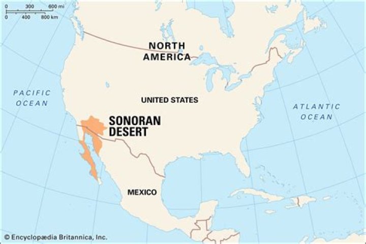 Where Is The Sonoran Desert On A Map