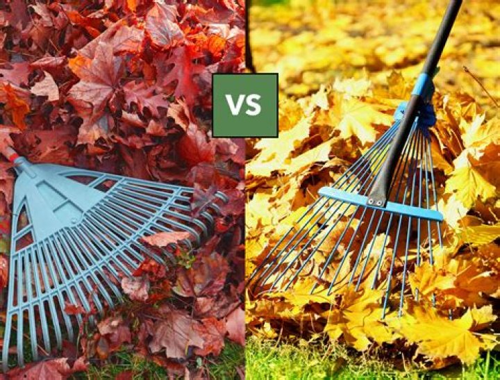 Which rake is best