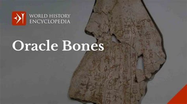 Who read oracle bones