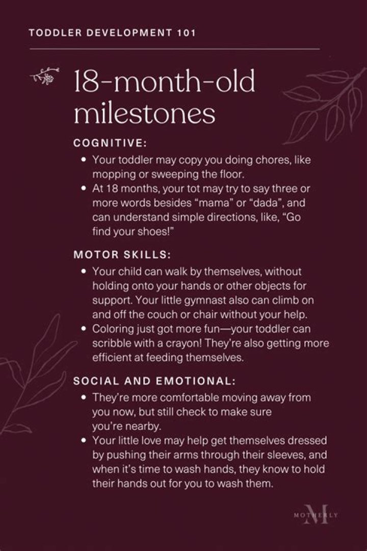 Why is my 18 month old losing her appetite