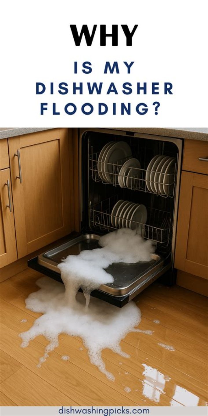 Why is my dishwasher flooding