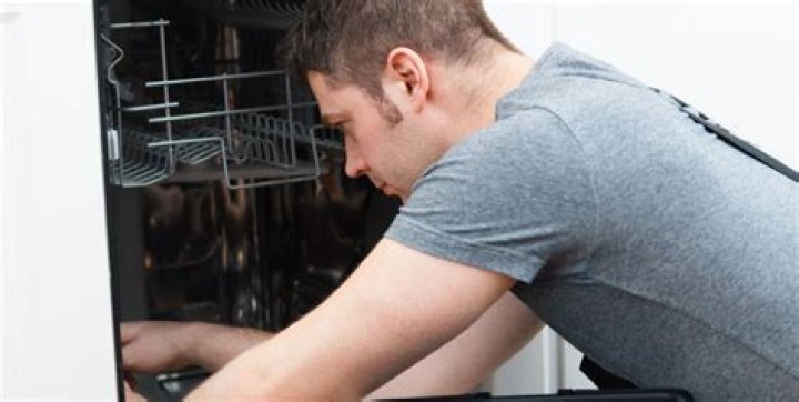 Why is my dishwasher making a loud grinding noise